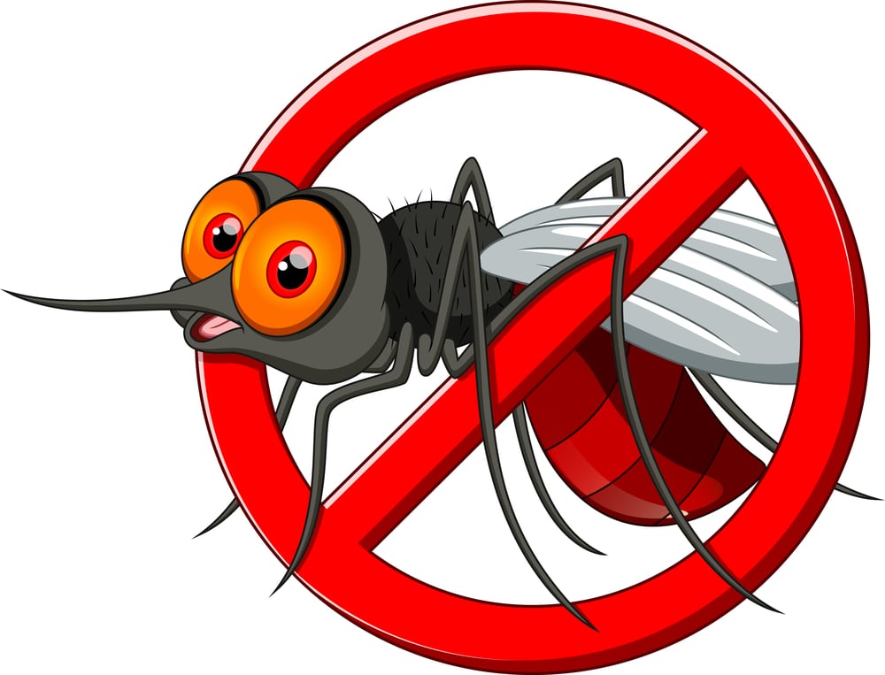 La précention contre les moustiques