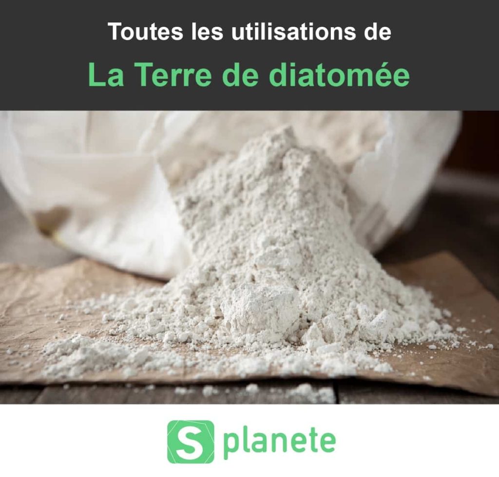 Terre de diatomée Les 13 utilisations miraculeuses